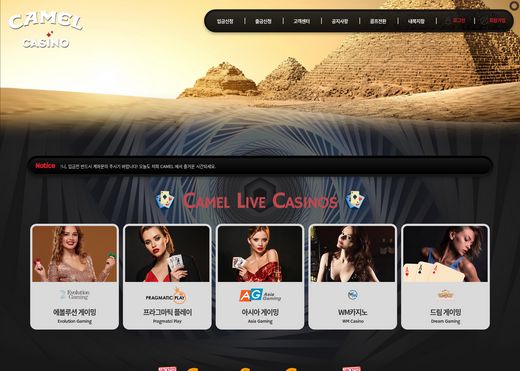 카멜카지노(Camel Casino) 먹튀