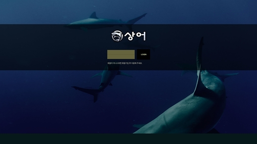 상어 먹튀