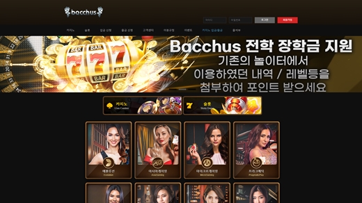 바카스(Bacchus) 먹튀