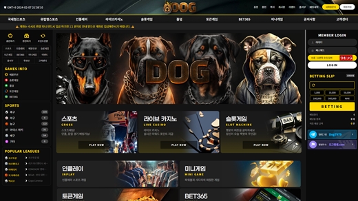 도그(Dog) 먹튀