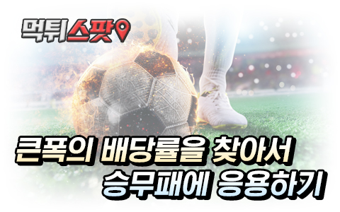 축구 승무패 배당률의 비밀