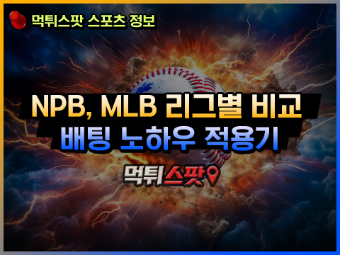 야구 리그별 배팅 노하우와 리그 비교
