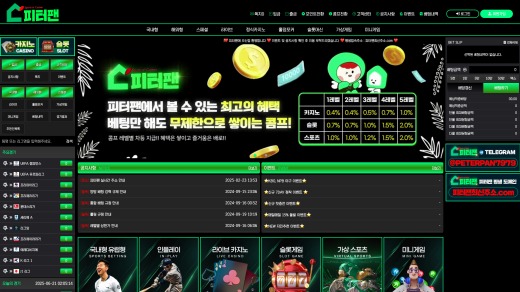 피터팬(Peterpan) 먹튀