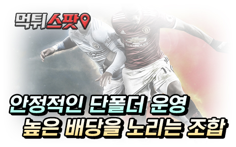 다폴더 기본 전략 조합 공식 배우기