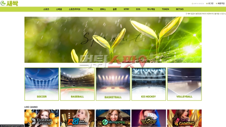 새싹 먹튀