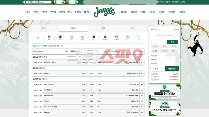 정글 후기
